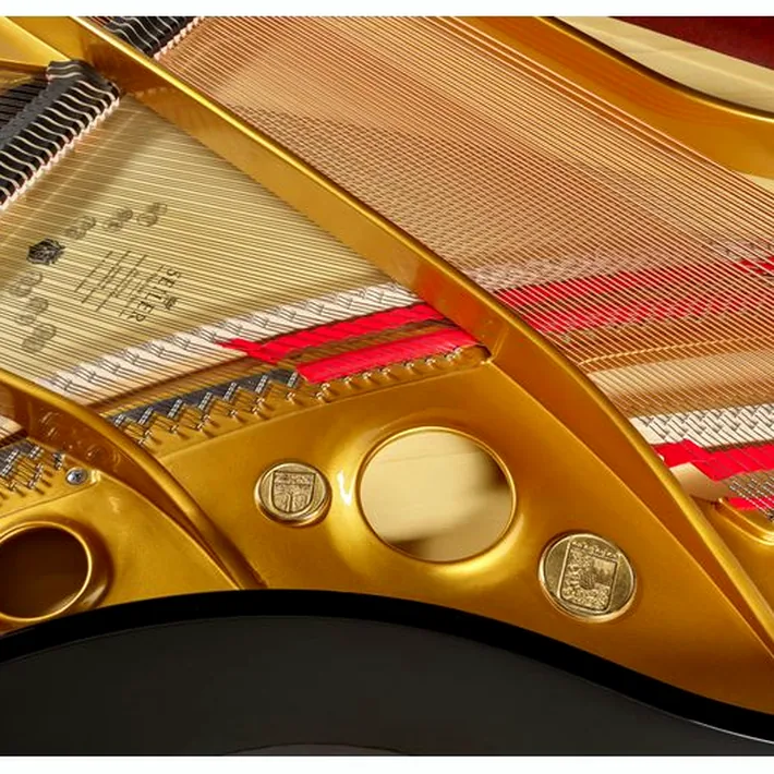 Seiler 170 Professional Grand Piano