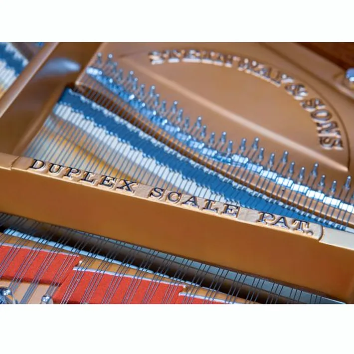 Steinway & Sons A-195 (A3)