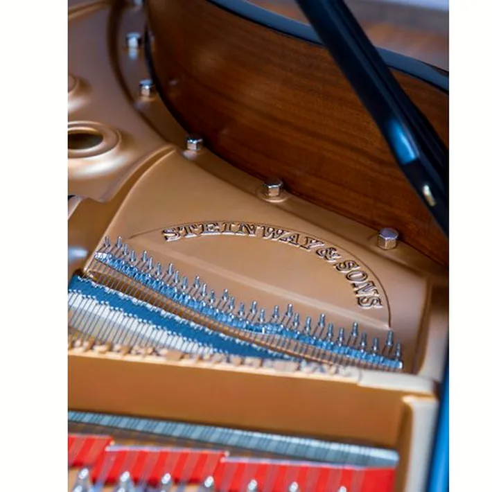 Steinway & Sons A-195 (A3)