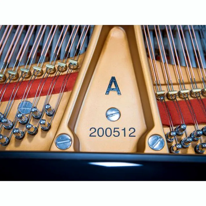 Steinway & Sons A-195 (A3)