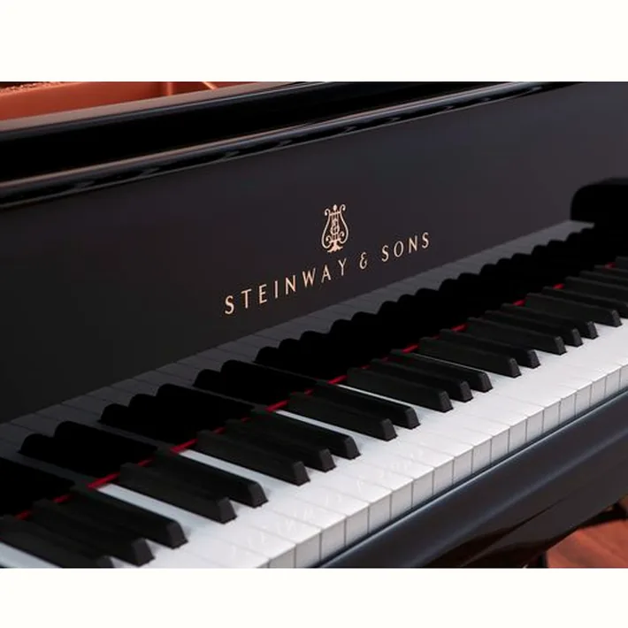 Steinway & Sons A-195 (A3)