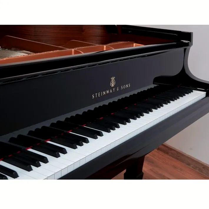Steinway & Sons A-195 (A3)