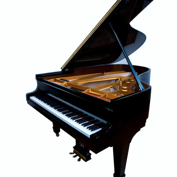Steinway & Sons A-195 (A3)