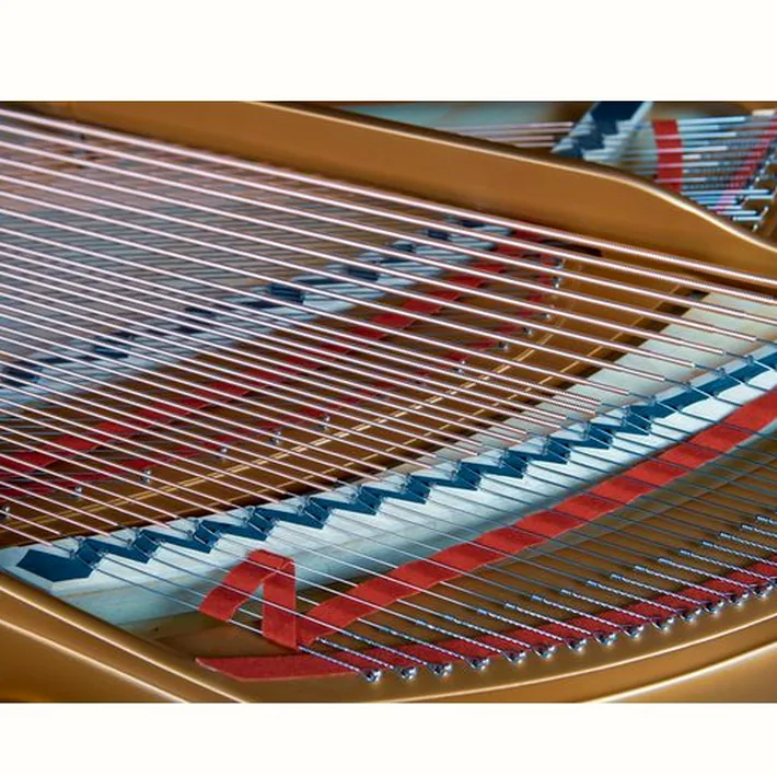Steinway & Sons A-195 (A3)