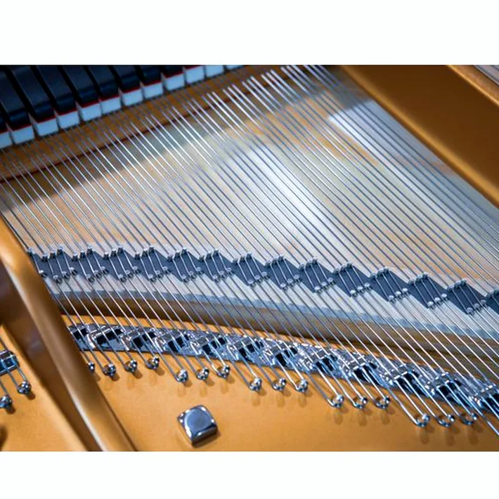 Steinway & Sons A-195 (A3)