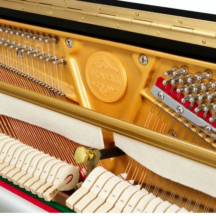Thomann UP 121 E/P Piano