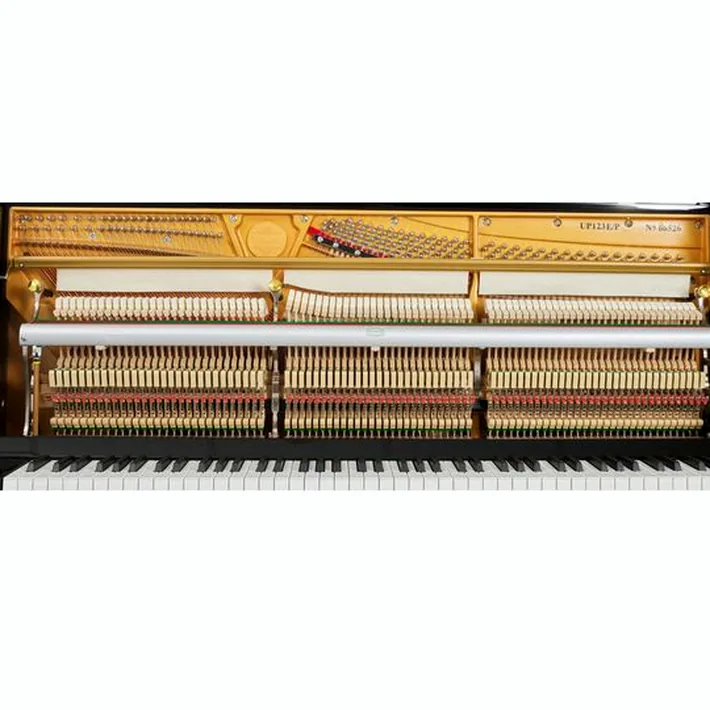 Thomann UP 123 E/P Piano