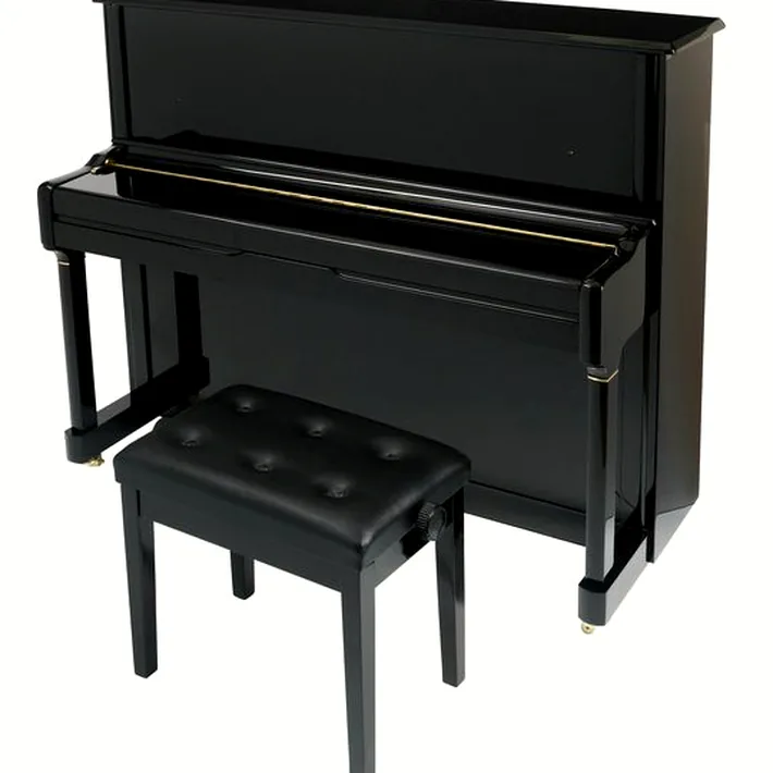 Thomann UP 123 E/P Piano