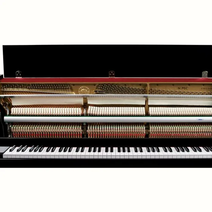 Yamaha b1 PEC