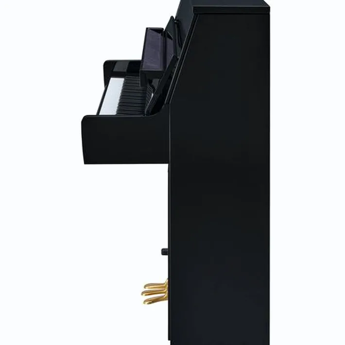 Yamaha B10 PE