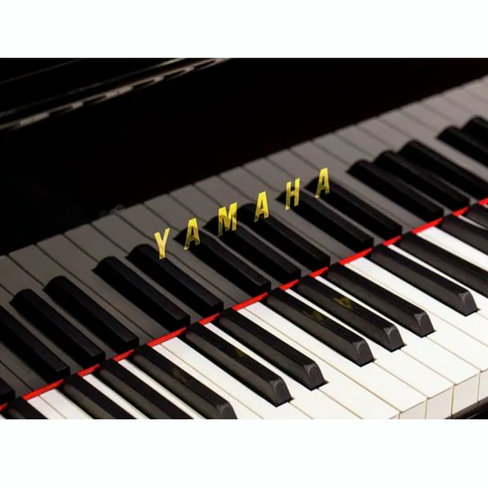 Yamaha C 2 X PE
