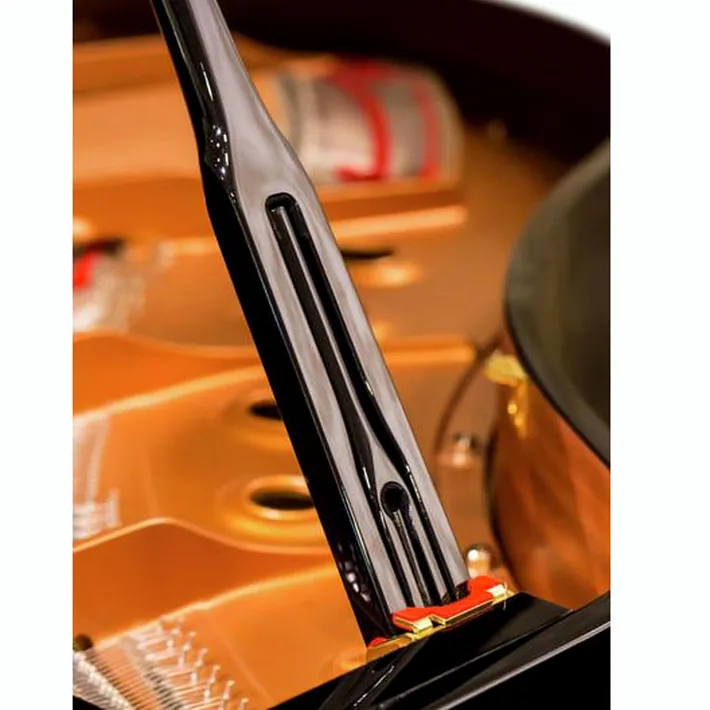 Yamaha C 2 X PE