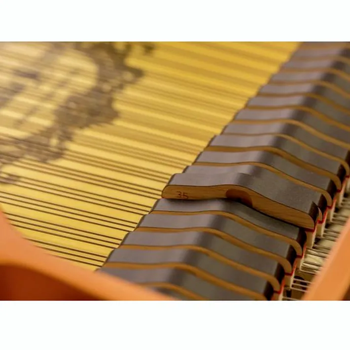 Yamaha C 2 X PE